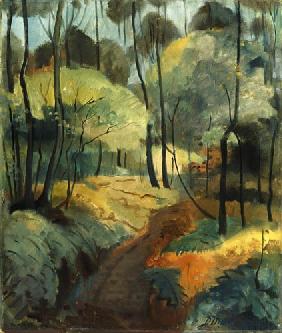 Forest Path 1920