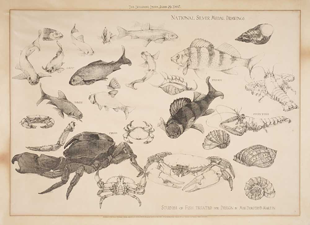 Studien von Fisch behandelt für Design, 1903 von Dorothy Martin