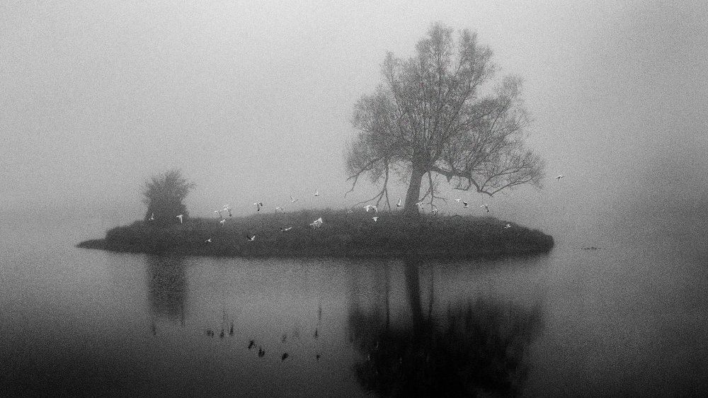 Eine kleine Insel im Nebel von Dusan Vukovic