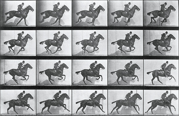 Galloping Horse, plate 628 from ''Animal Locomotion'', 1887 (b/w photo)  von Eadweard Muybridge