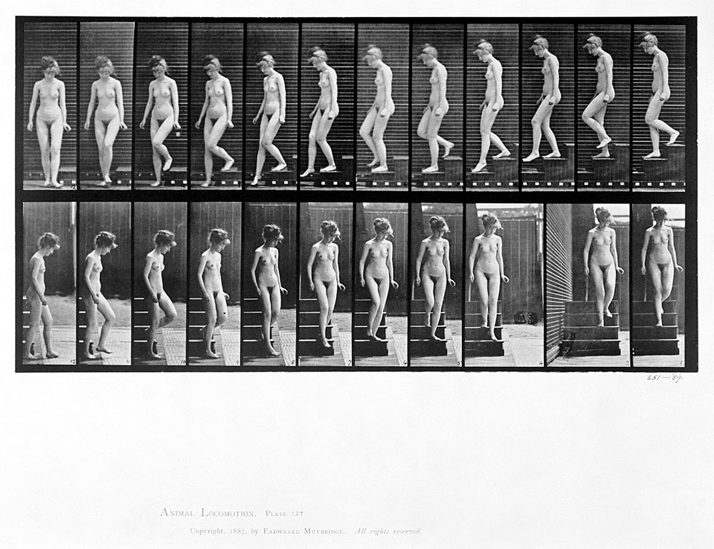 Woman descending steps, plate 137 from ''Animal Locomotion''  von Eadweard Muybridge