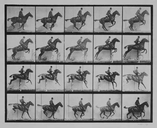 Man and horse jumping a fence, plate 640 from 'Animal Locomotion', 1887 (b/w photo) von Eadweard Muybridge
