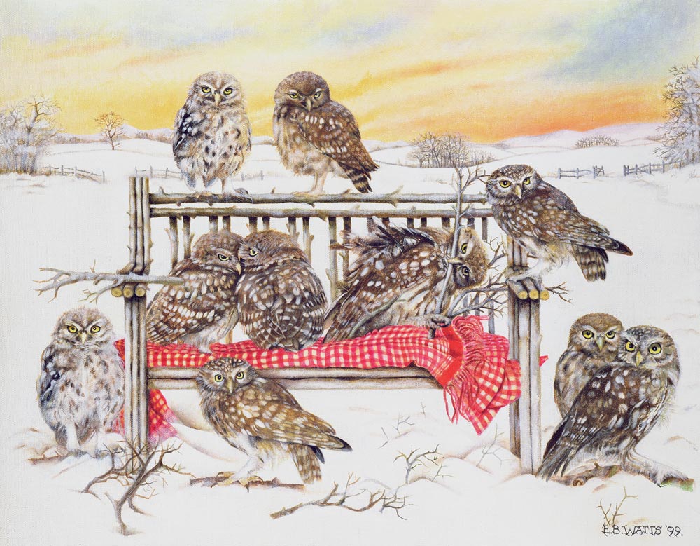 Little Owls on Twig Bench, 1999 (acrylic on canvas)  von E.B.  Watts