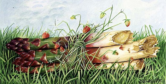 Asparagus Tied with Wild Strawberries, 1997 (acrylic on paper)  von E.B.  Watts