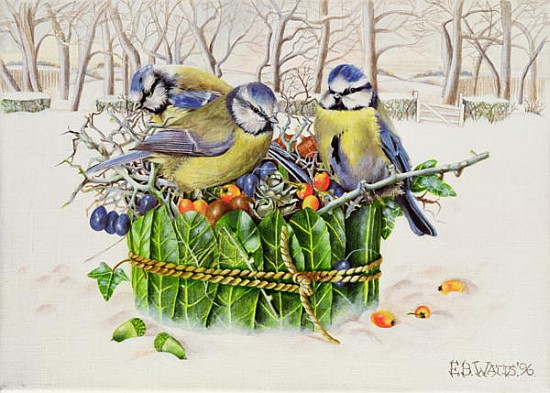 Blue Tits in Leaf Nest, 1996 (acrylic on canvas)  von E.B.  Watts