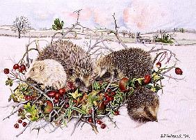 Hedgehogs in Hedgerow Basket, 1996 (acrylic on canvas) 