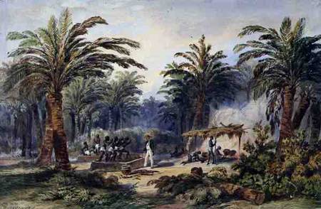 The Fabrication of Palm Oil at Whydah, West Coast of Africa von Edouard Auguste Nousveaux