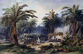 The Fabrication of Palm Oil at Whydah, West Coast of Africa c.1845  on