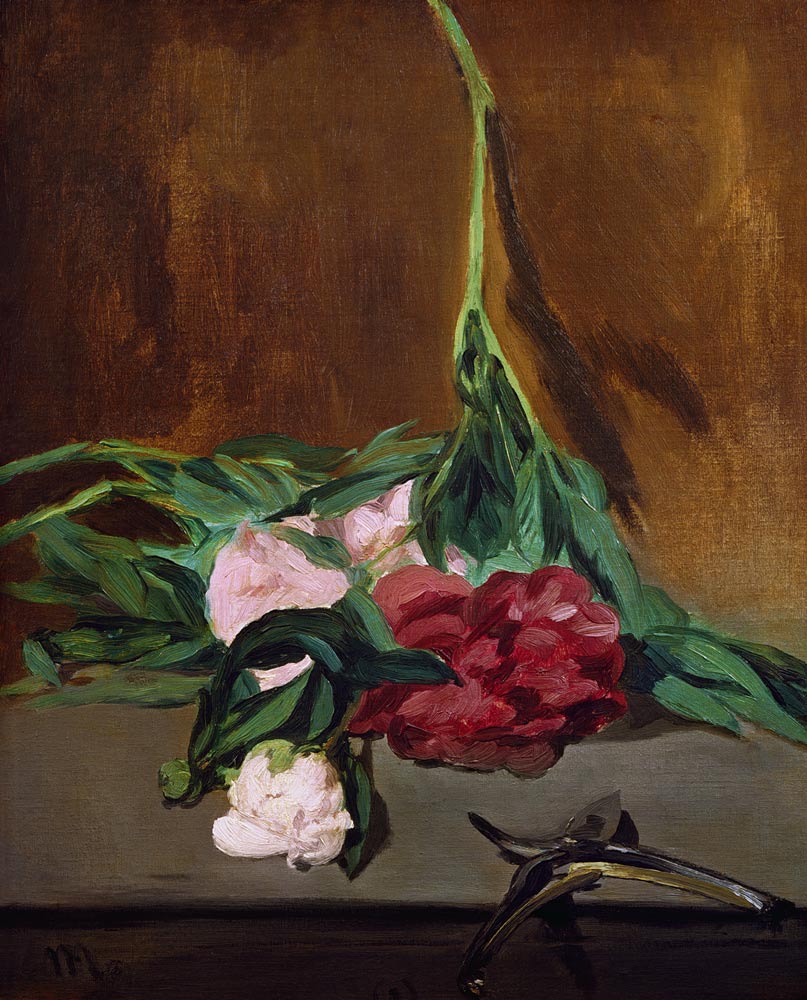 Stem of Peonies and Secateurs von Edouard Manet
