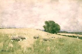 Fresh Pasture 1883
