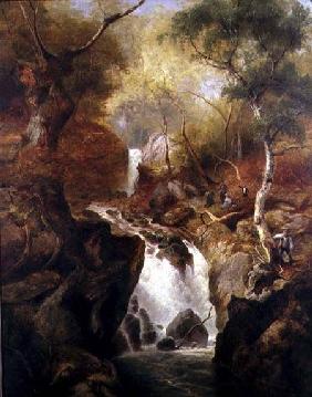 Waterfall through a Woodland 1888