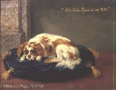 Blenheim Spaniel at Rest von Edwin Frederick Holt