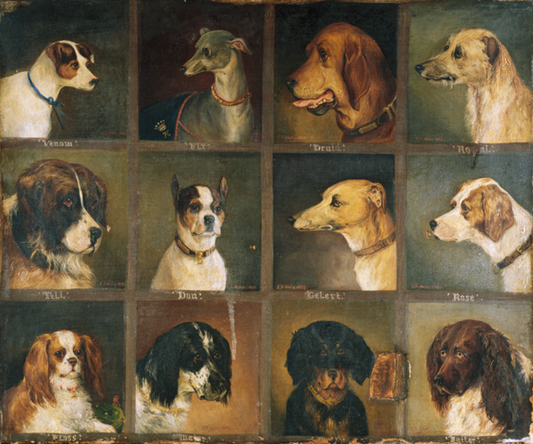 Twelve Favourite Dogs von Edwin Frederick Holt