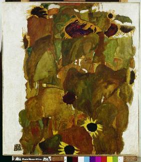 Sonnenblumen 1911