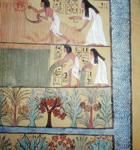 Detail of a harvest scene on the East Wall, from the Tomb of Sennedjem, The Workers' Village, New Ki von Egyptian