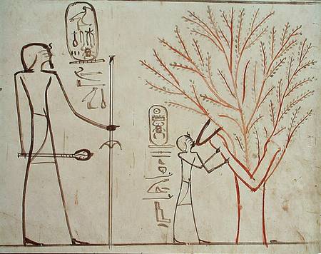 Isis metamorphosed into a sycamore tree suckling Tuthmosis III (c.1479-1425 BC) von Egyptian