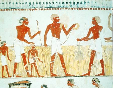 Measuring the land using rope, from the Tomb Chapel of Menna, New Kingdom von Egyptian