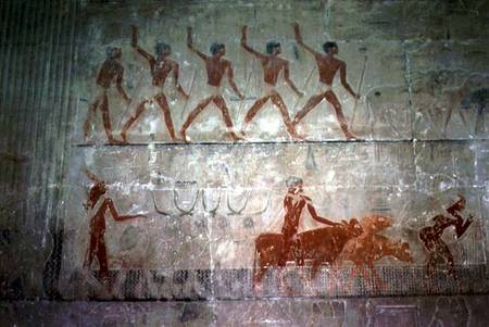 Men herding sheep and cattle from the Mastaba Chapel of Ti, Old Kingdom von Egyptian
