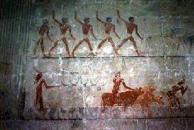 Men herding sheep and cattle from the Mastaba Chapel of Ti, Old Kingdom