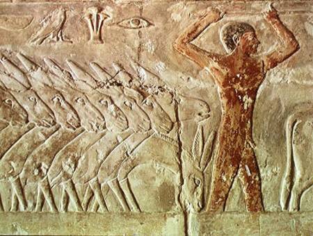 Troup of donkeys, from the Mastaba of Mereruka, Old Kingdom von Egyptian