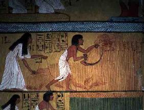 Detail of a harvest scene on the East Wall, from the Tomb of Sennedjem, The Workers' Village, New Ki 20th