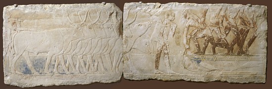 Relief of Peasants Driving Cattle and Fishing, Old Kingdom, 2450-2290 BC von Egyptian School