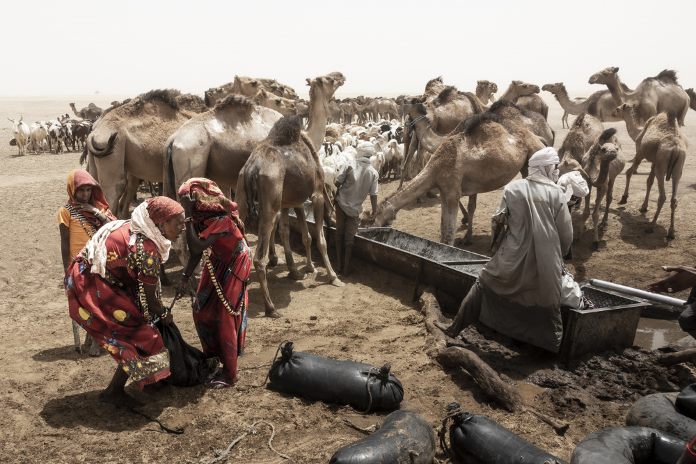so viel Aktivität rund um den Brunnen in der Borkou-Wüste,Tschad von Elena Molina