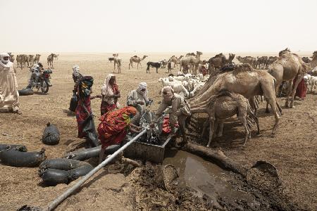 so viel Aktivität rund um den Brunnen in der Borkou-Wüste,Tschad