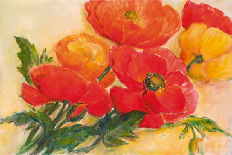 Splendid Poppies von Elisabeth Krobs