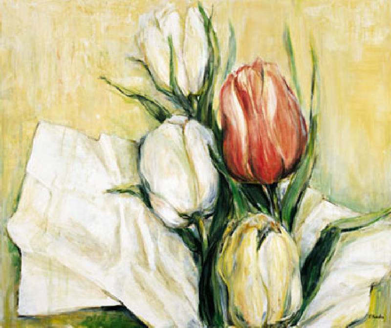 Tulipa Antica von Elisabeth Krobs