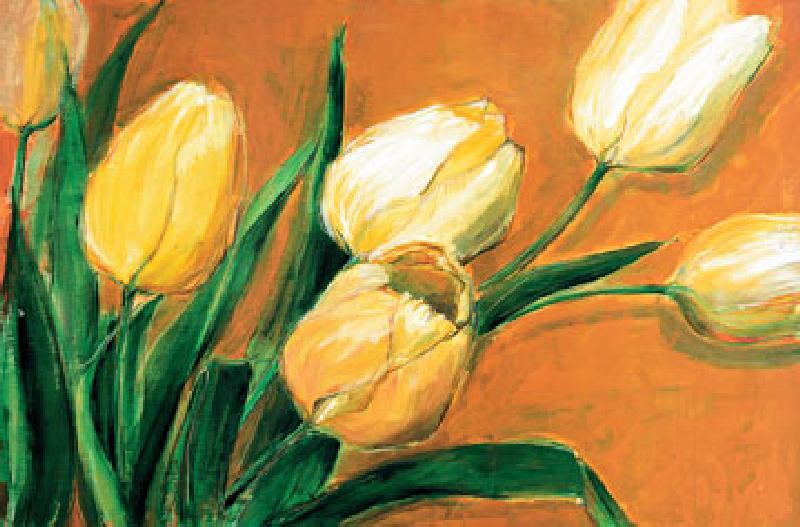 Tulipa Nova von Elisabeth Krobs