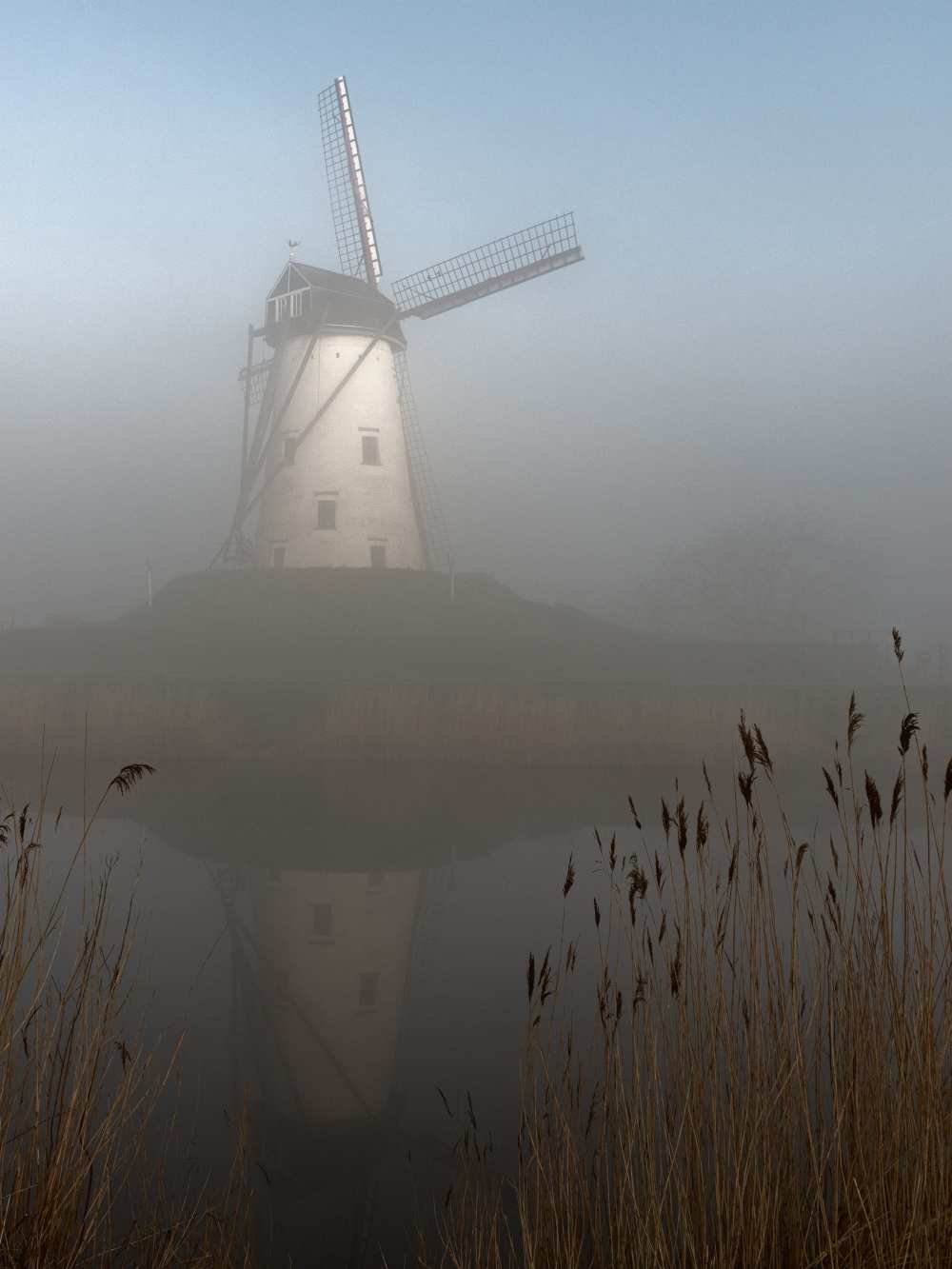 foggy morning von Elisabeth Wehrmann