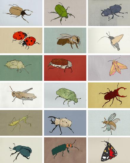 Insects 2012