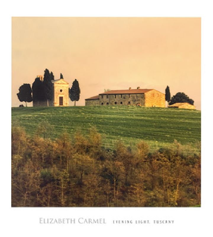 Evening Light, Tuscany von Elizabet Carmel