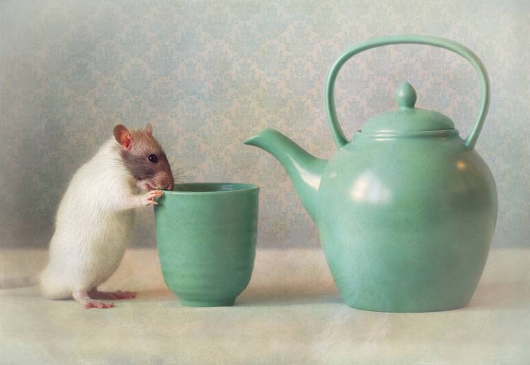 The Teapot von Ellen Van Deelen