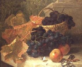 Still Life with Grapes and Scissors on a Stone Shelf