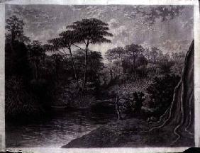 View of the Cameroon River, Ambes Bay, Africa 1877