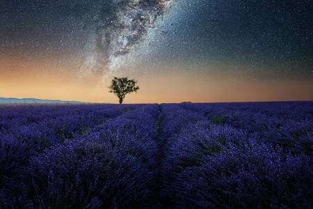 Night In Provence 2020