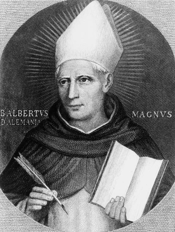 St Albertus Magnus von English School