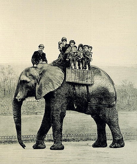A Farewell Ride on Jumbo, from ''The Illustrated London News'', 18th March 1882 von English School