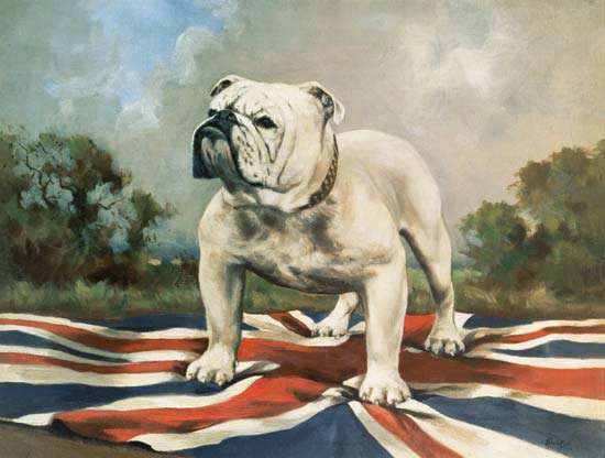 British Bulldog von English School