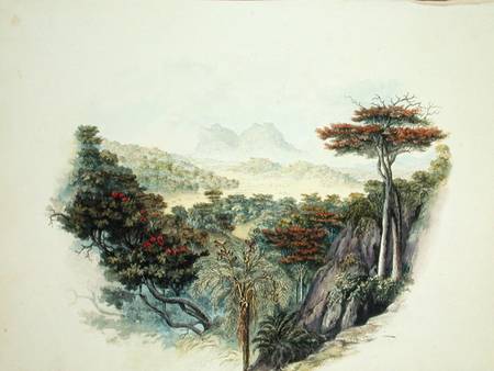 The Mountains, Ceylon  on von English School