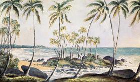 Kosgoda Beach, Ceylon 1835