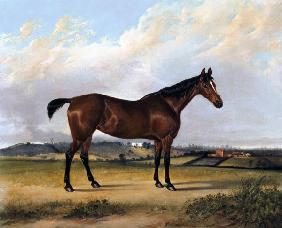 The Pride of the Stable 1835