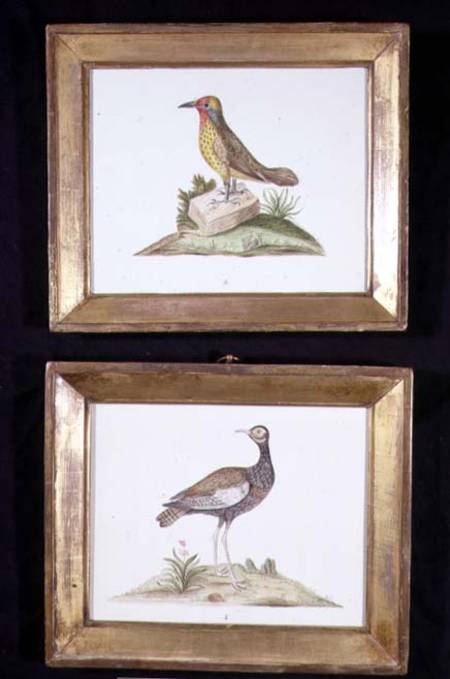 A Woodpecker and a Grouse von English School