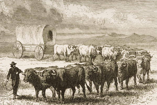 A Bullock Wagon Crossing the Great Plains between St. Louis and Denver, c.1870, from 'American Pictu von English School, (19th century)
