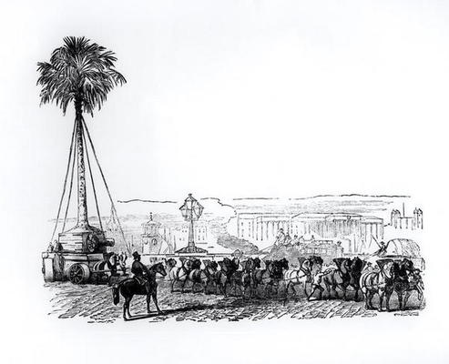 A palm tree being transported to Hyde Park for the Great Exhibition, London, 1851 (engraving) (b/w p von English School, (19th century)