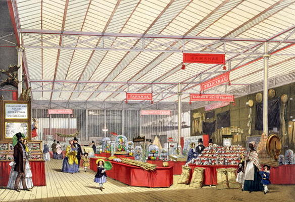 Colonial Produce in the Great Exhibition of 1851, from Dickinson's Comprehensive Pictures (coloured von English School, (19th century)