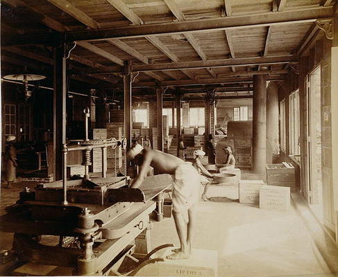 Tea pickers at the Lipton factory in Ceylon, c.1900 (photo) von English School, (20th century)