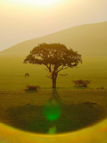 Paradise after the rain, Chyulu Hills 2018